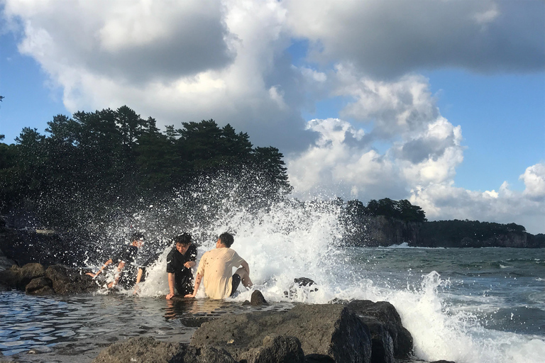 Île de Jeju : Visite guidée en van avec un guide qui aime le plus JEJU