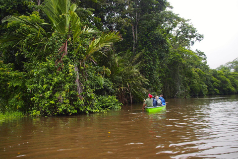 COSTA RICA:UPPTÄCK COSTARICAS VILDA DJUR-STRAND &amp; SKOG 2VECKOR