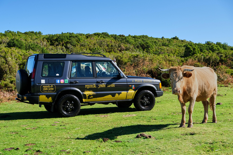 Tropical Tide, Porto Moniz & Fanal Forest 4WD Jeep Tour