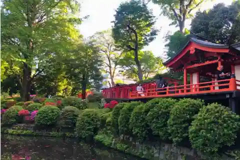 Tokyo: Cherry Blossom and Old Town Walking Tour(Nezu&Yanaka)