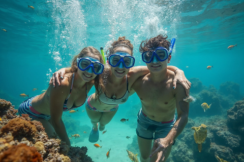 Plongée dans le lagon d&#039;El Gouna et plongée avec les dauphins, avec déjeuner