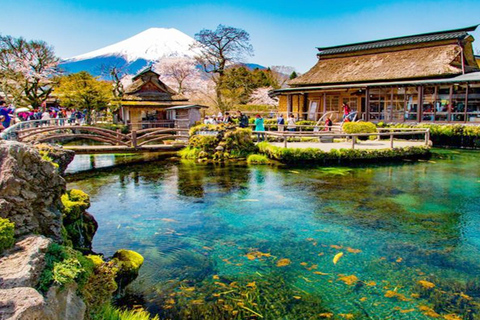 Tokyo: Full-day Tour of the Six Majestic Spots of Mt Fuji 8:00 AM Shinjuku West Exit, SMBC Meeting Point