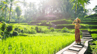 Kintamani All In, Tegalalang, Tirta Empul, etc. Penelokan - Housity