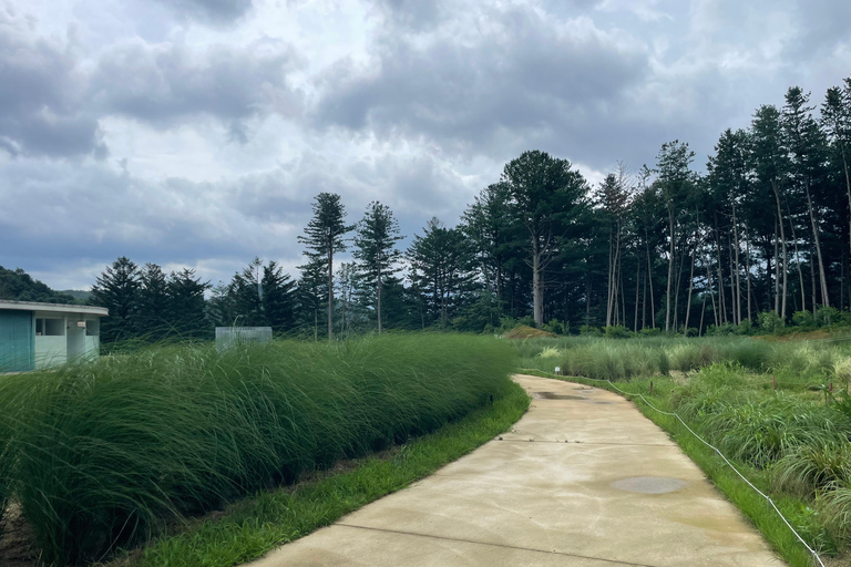 Gyeonggi: Alpaca & Sheep Ranch Admission Ticket in Gapyeong