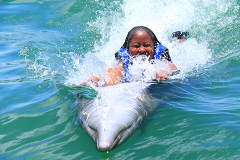 Punta Cana Dolphin Swim Adventure: 40-minütiges Delfin-Erlebnis