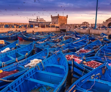 From Marrakesh: Essaouira Full-Day Trip