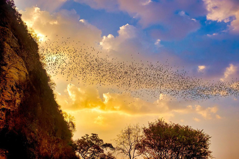 Battambang & Bat Cave Experience