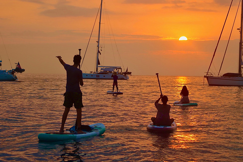 Paddleboard Adventure with Sea Lions on San Cristobal Island