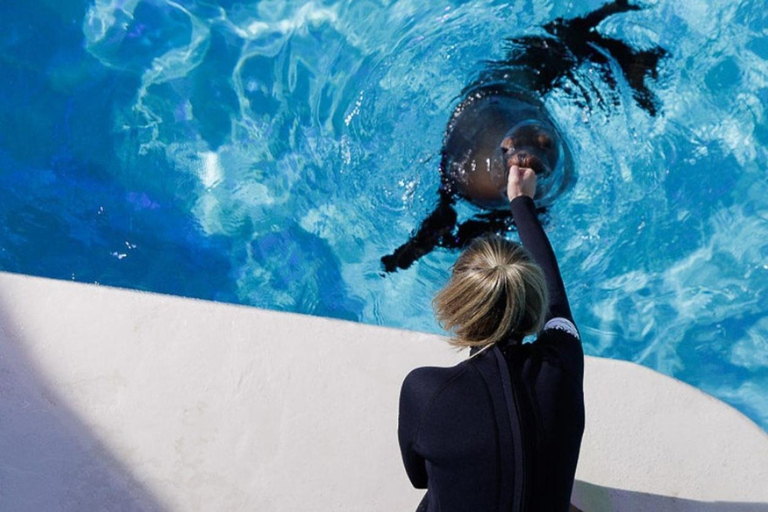 Niagara: Aquarium of Niagara General Admission