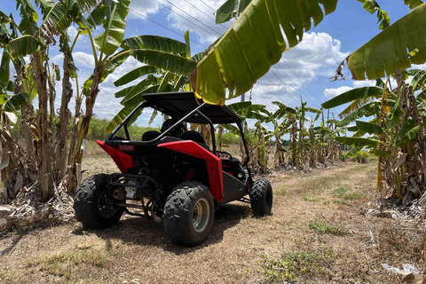 Bamboo Dune Buggy Tour