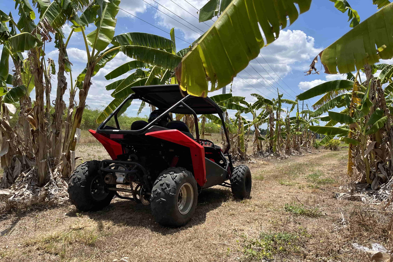 Bamboo Dune Buggy Tour