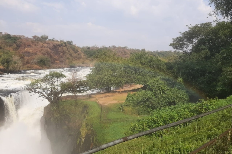 3-dniowe safari do Parku Narodowego Murchison Falls