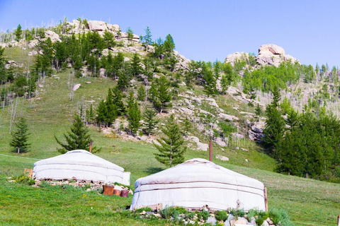 Ulaanbaatar: Guided City Tour with Private Transport