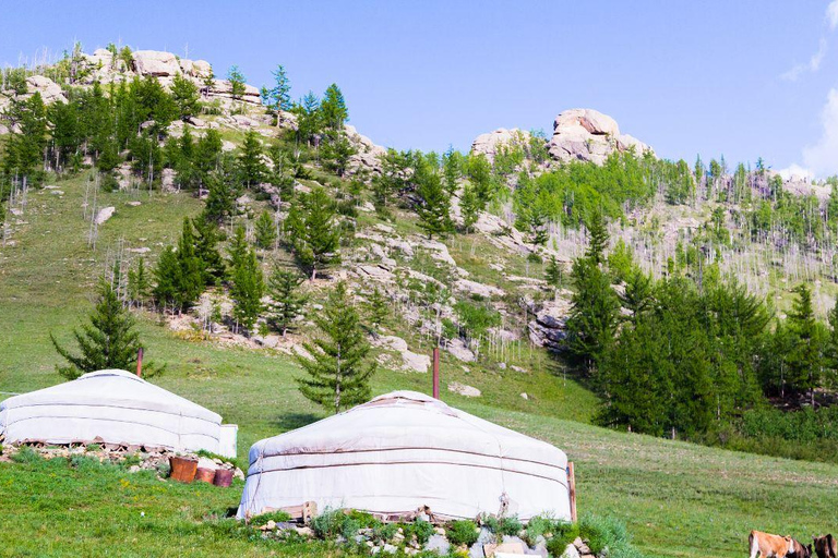 Ulaanbaatar: Guided City Tour with Private Transport