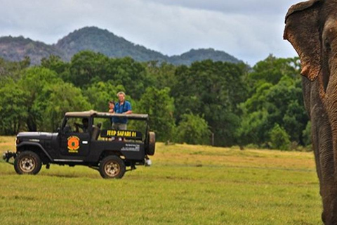 Sigiriya &amp; Dambulla: with Jeep Safari Tour From Pasikudah