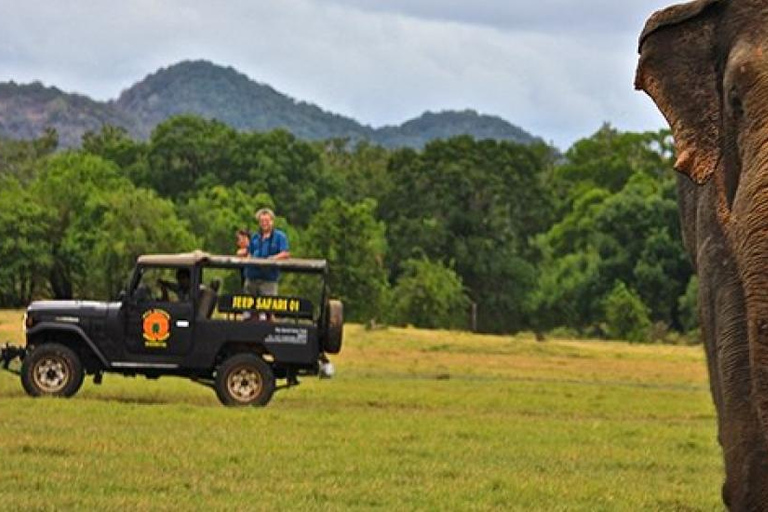 Sigiriya & Dambulla: with Jeep Safari Tour From Pasikudah