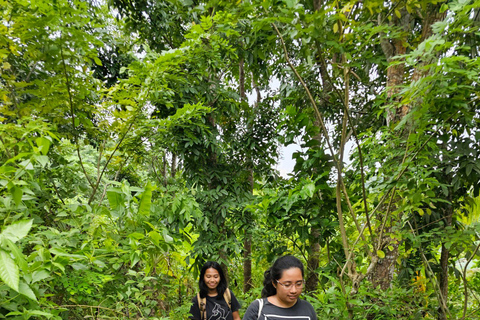 Boracay: raccolta di cibo e spiaggia nascostaAlla ricerca di cibo sull'isola di Boracay con esperienza sulla spiaggia nascosta