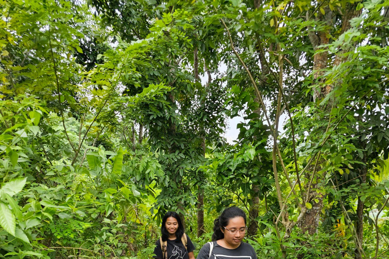 Boracay: raccolta di cibo e spiaggia nascostaAlla ricerca di cibo sull'isola di Boracay con esperienza sulla spiaggia nascosta