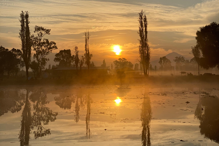 Xochimilco: Ekotur med matupplevelse