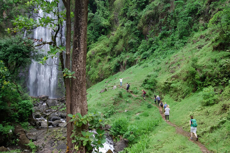 Materuni: Coffee Making and Waterfall Hike Day Trip