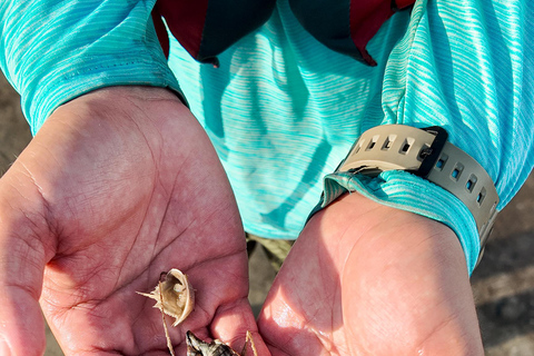 Clearwater: Guided Clear Kayaking Tour