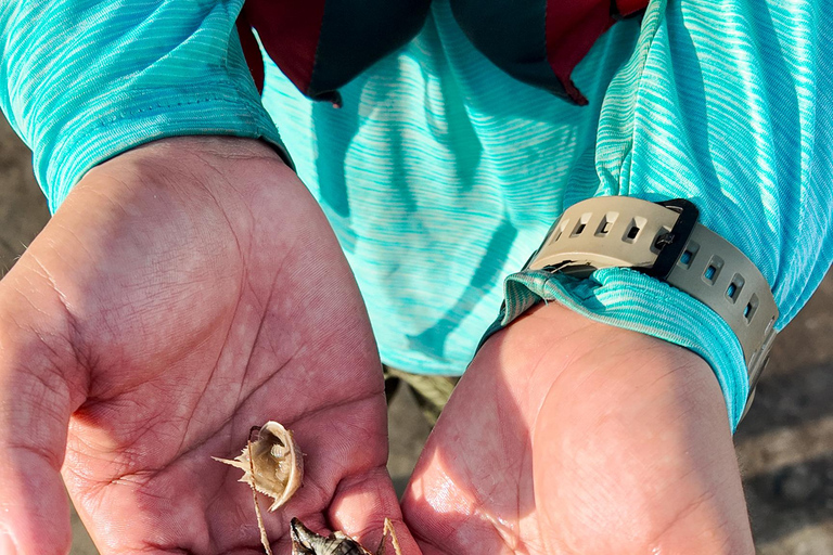 Clearwater: Guided Clear Kayaking Tour