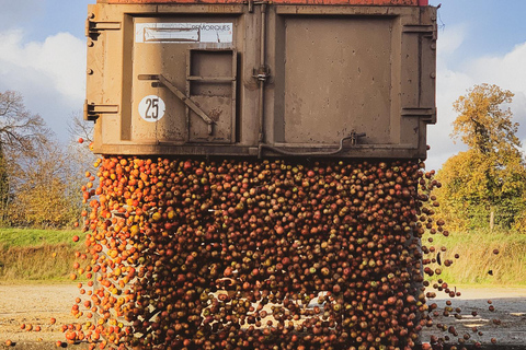 Calvados: the art of making Coquerel Calvados and Normindia Gin