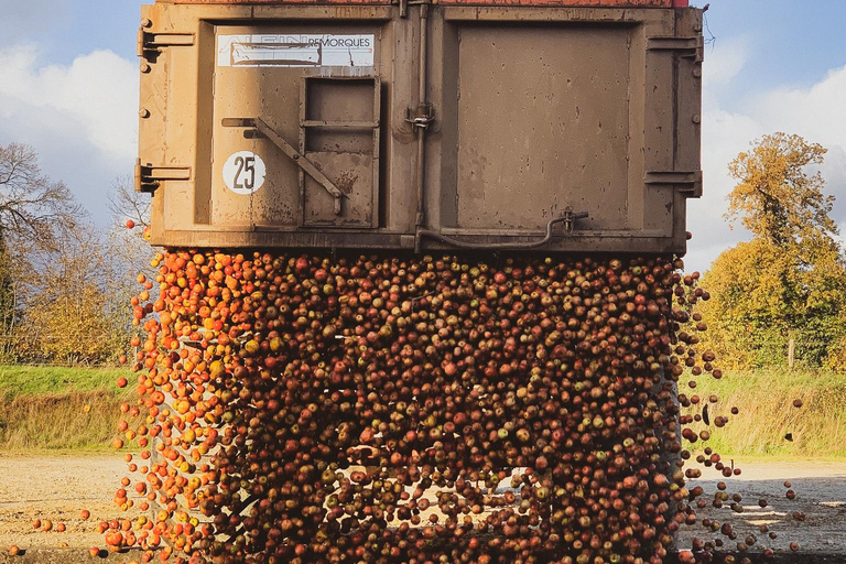 Calvados: the art of making Coquerel Calvados and Normindia Gin