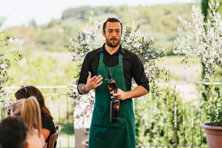 Florence : visite des vignobles du Chianti avec dégustationVisite en groupe en anglais