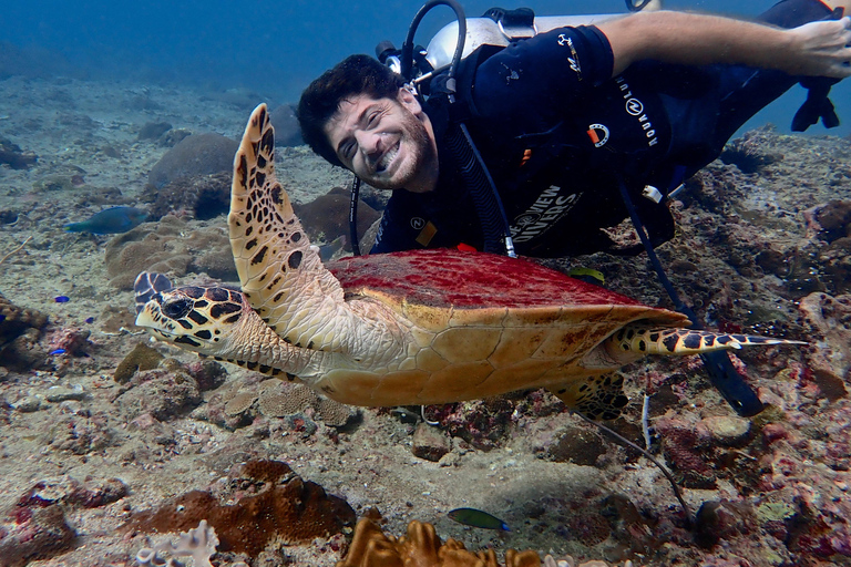From Phi Phi: Half-Day Trip for Certified Divers (2 Dives) Afternoon Diving for Certified Divers (2 Dives)