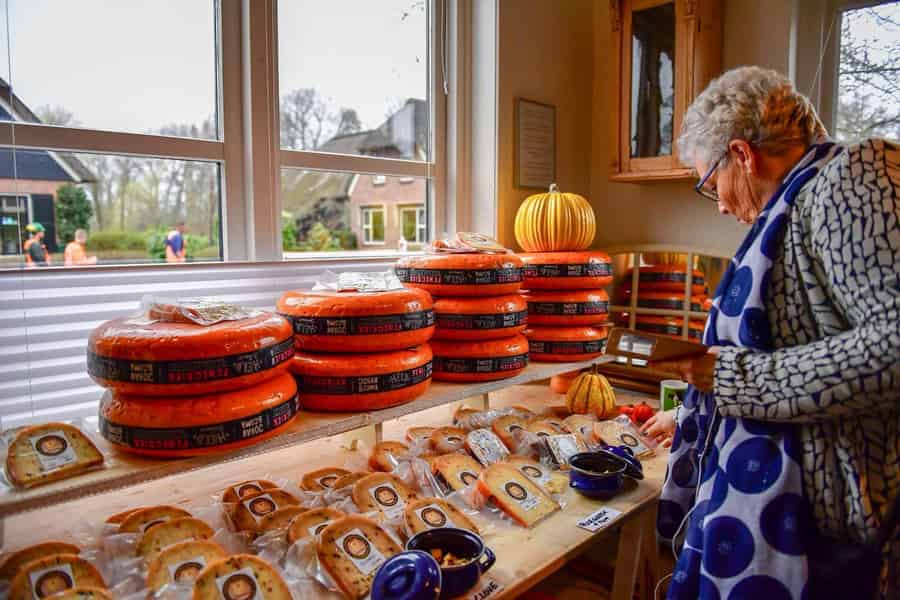 Geführte Tagestour nach Zaanse Schans und Keukenhof (kleine Gruppe). Foto: GetYourGuide Geführte Tagestour nach Zaanse Schans und Keukenhof (kleine Gruppe). Foto: GetYourGuide