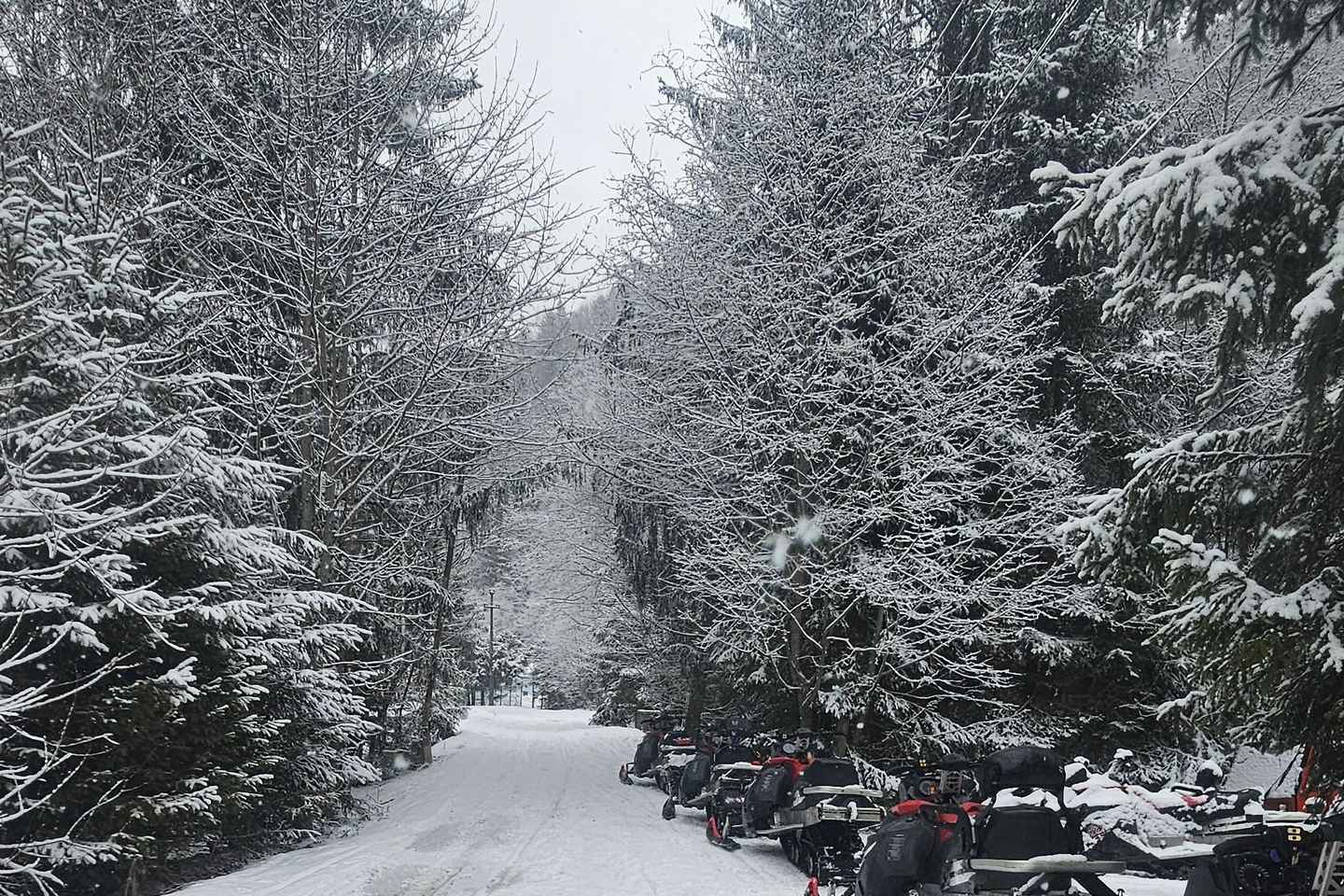 From Bucharest: Snowmobile, ATV, BUGGY or Off-Road Jeep
