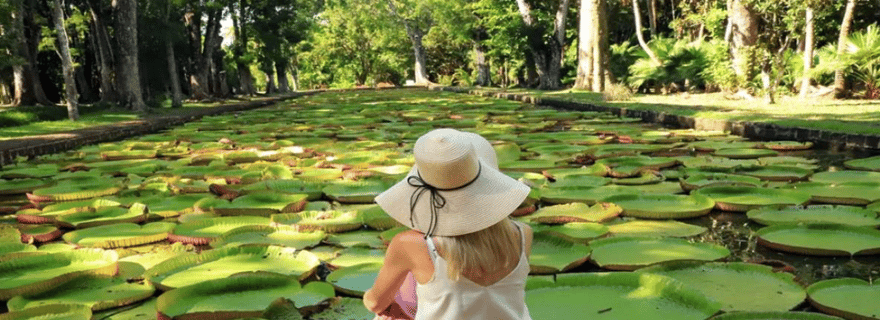 Marché local, jardin botanique, dégustation de rhum et déjeuner authentique