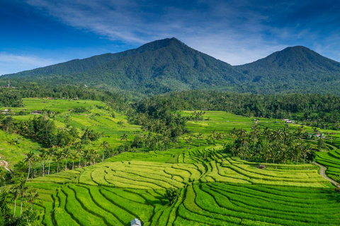 North of Bali: Private Tour with UNESCO World Heritage site Private Tour : Ticket Excluded