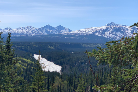 Denali National Park: Triple Lakes Trail Guided Hike