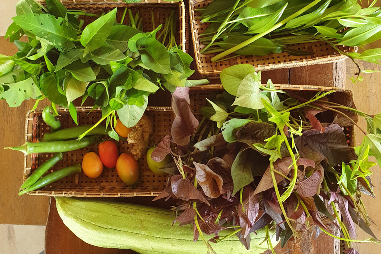 Coron: Farm Day Tour with Lunch and Hotel transfer