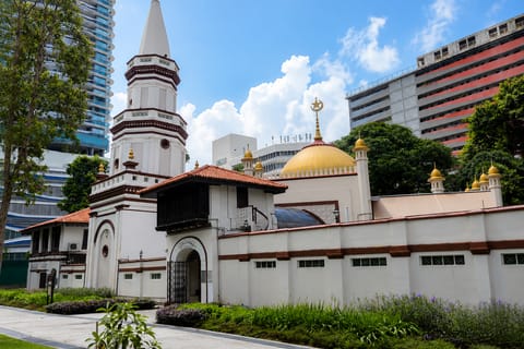 Singapore: Halal Heritage and Food Tour with Local Guide - Image 2