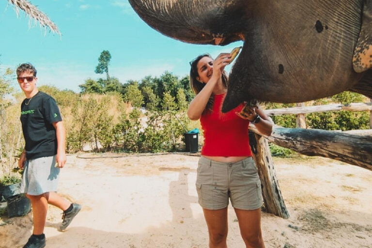 Visite du sanctuaire des éléphants et du temple de Banteay Srey au Cambodge