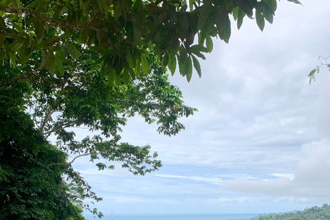 Puerto Viejo Talamanca: Quad Tour with 2 Waterfalls