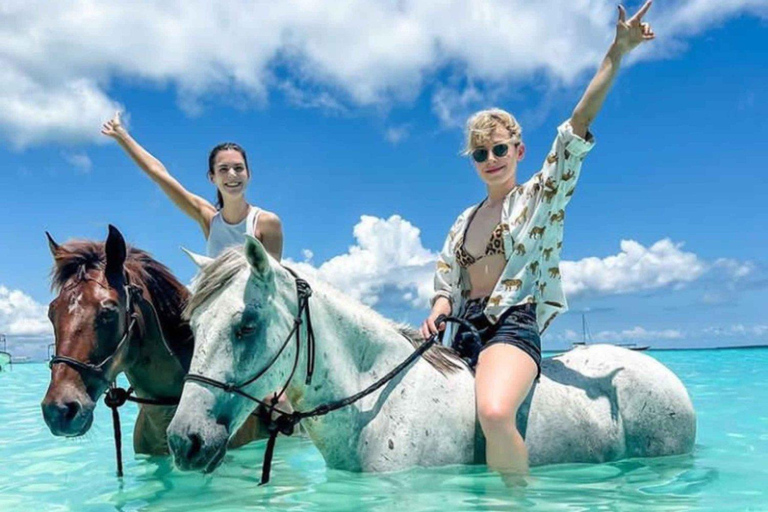 زنجبار: مغامرة منيمبا للغطس ومشاهدة الدلافين وركوب الخيلجولة خاصة مع خدمة النقل بدون رسوم دخول وبد