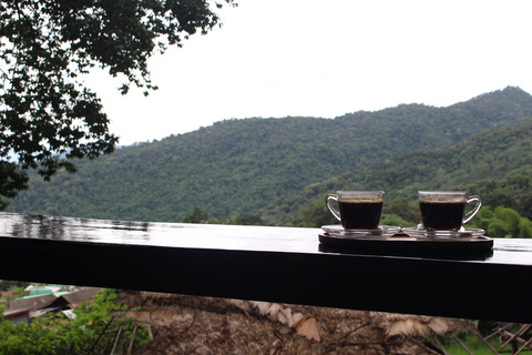 Chiang Mai: Doi Suthep Temple & Hmong Village Tour Tour with Meeting point (Mcdonald Nimman)