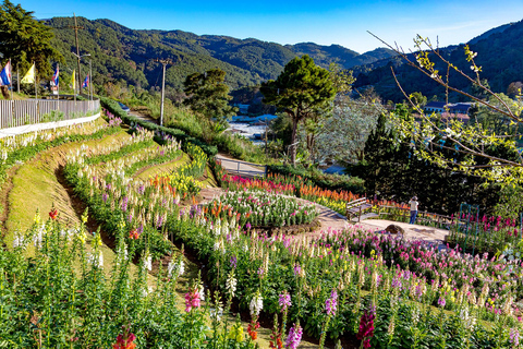 Doi Inthanon, Pa Bong Piang & Royal Project Tour