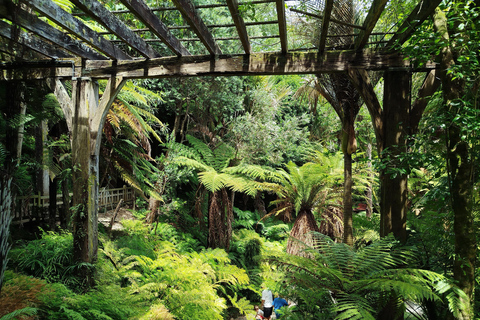 6 Day Northern Loop New Zealand Private Tour from Auckland