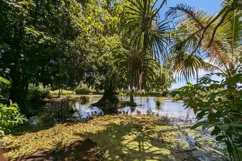 Tahiti Private Half Day Tour. Nature, history and culture