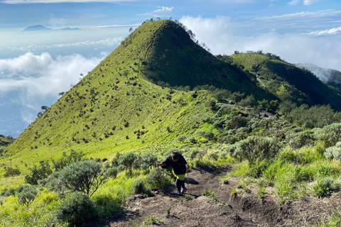 Yogyakarta : Excursion à la journée pour une randonnée au lever du soleil sur le Mont Merbabu