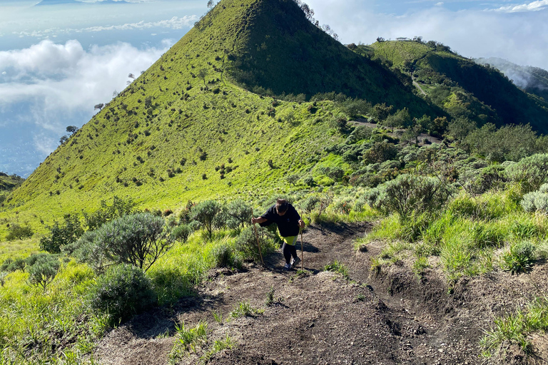 Yogyakarta : Excursion à la journée pour une randonnée au lever du soleil sur le Mont Merbabu