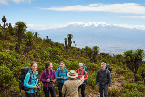 4 days 3 nights mount Kenya camping trek