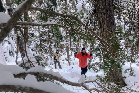 Guided Snowshoeing Adventure from Seward, Alaska 6-Hour Tour