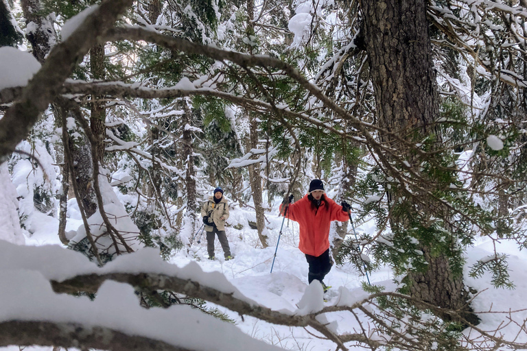 Guided Snowshoeing Adventure from Seward, Alaska 6-Hour Tour