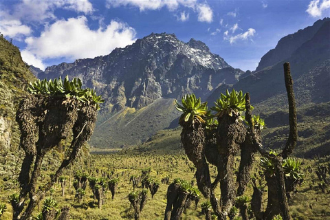Kampala: 2-Day Rwenzori Mountains Hiking Tour